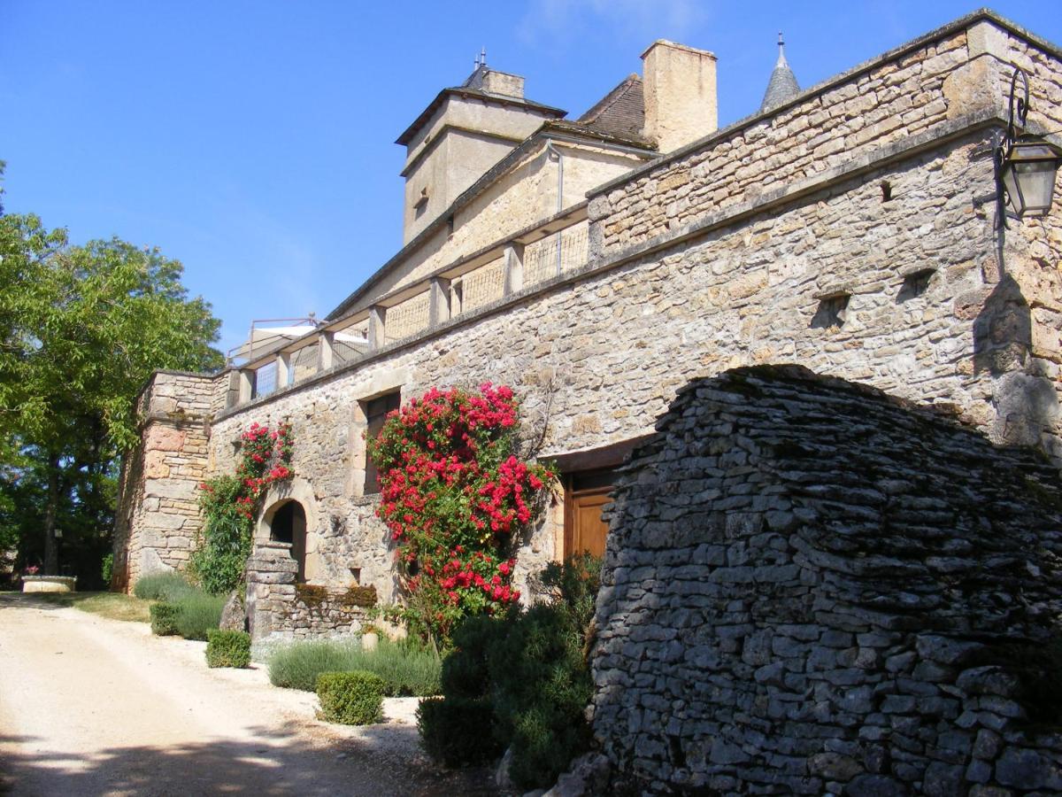 Chateau De Laumiere Promilhanes Eksteriør billede